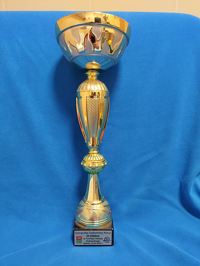 Hokej pod wodą Walenie UWH Siemianowice Śląskie